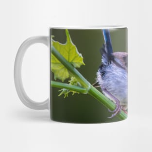 Australian Superb Fairy-Wren Mug